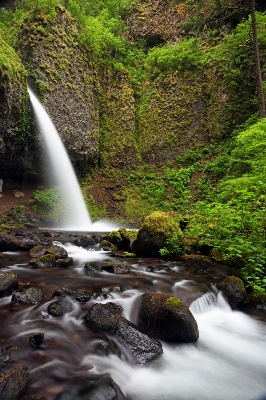 Water nature forest rock Photo