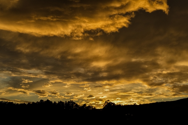 Landscape horizon light cloud Photo