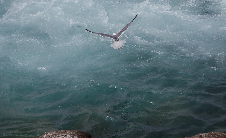 Sea ocean underwater flight