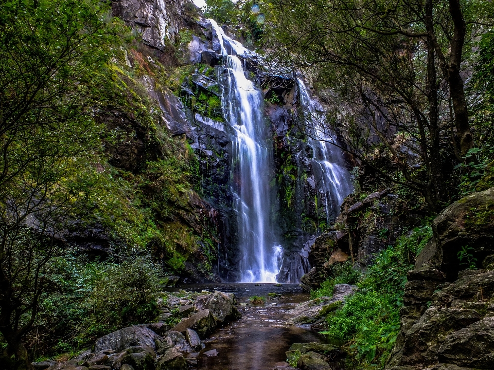 Paisagem água floresta cachoeira