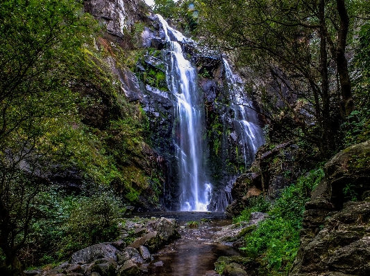 Landscape water forest waterfall Photo