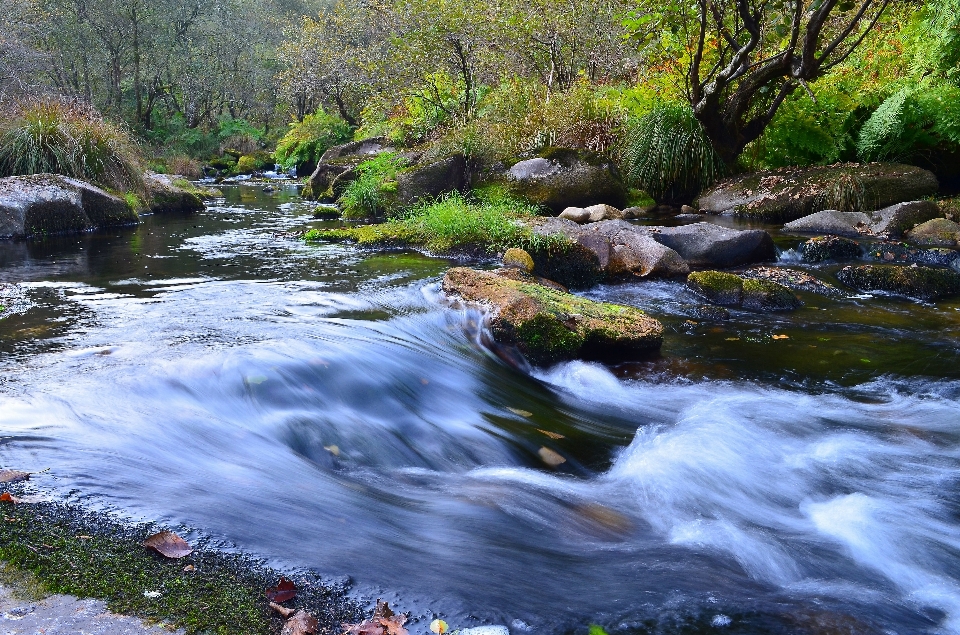 Wasser bach
 wildnis
 fluss