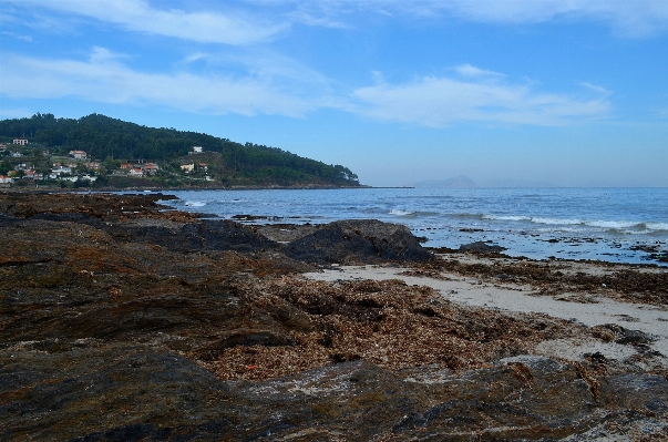 海滩 景观 海 海岸 照片