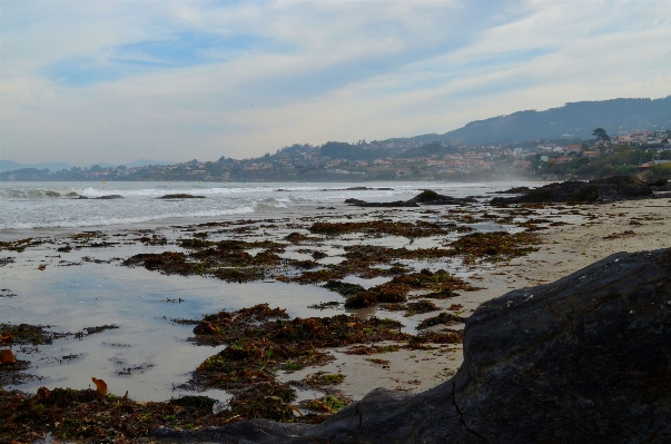 Photo Plage paysage mer côte