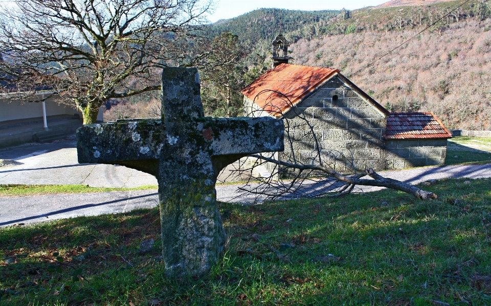 Pohon peringatan spanyol galicia
