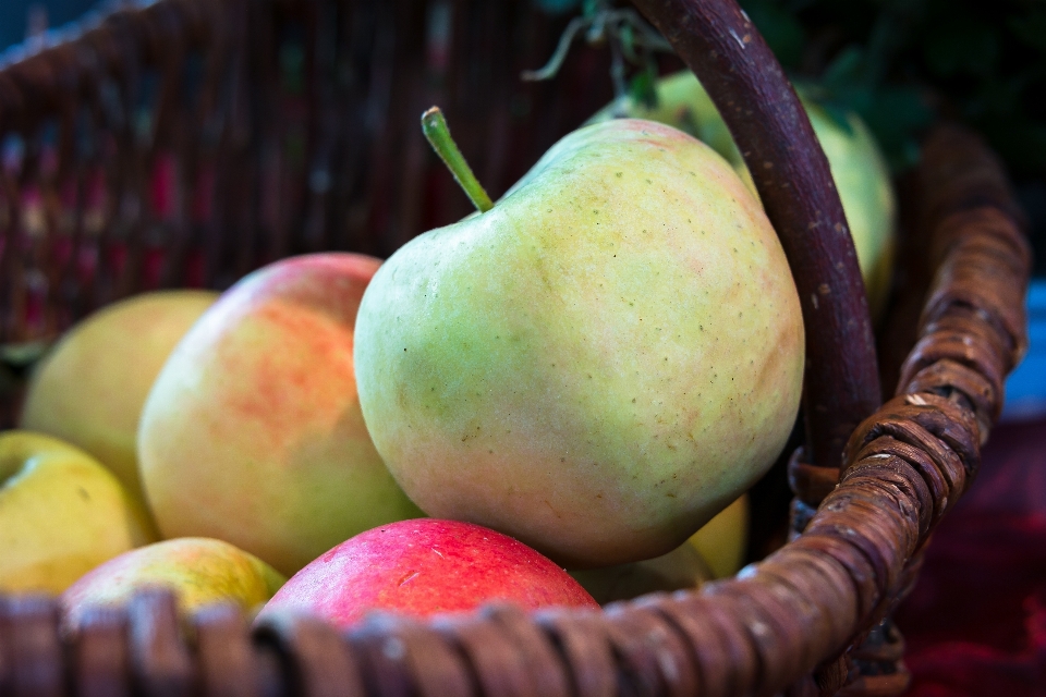 Apple 植物 水果 食物