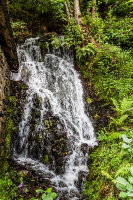 Landscape tree water nature Photo