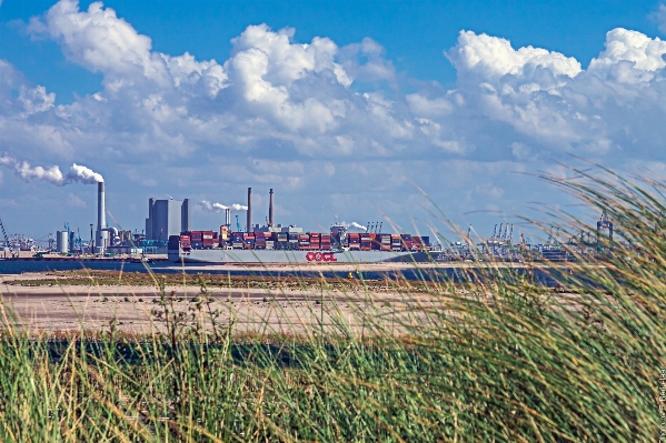 Sea coast grass horizon Photo