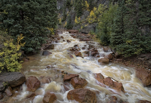 Water nature forest rock Photo