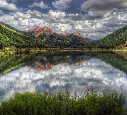 Landscape tree water nature Photo