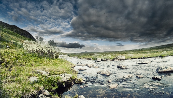 Landscape sea coast water Photo