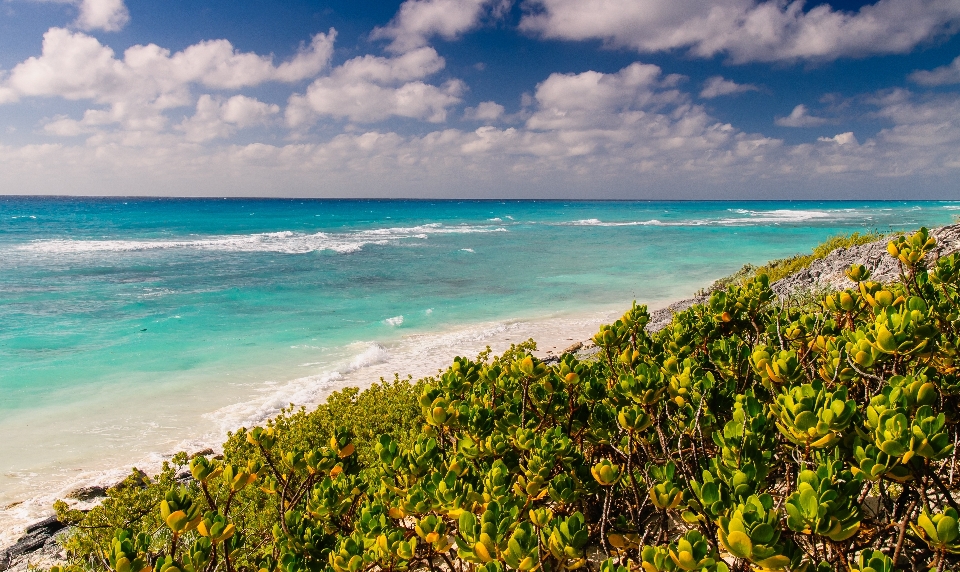 Strand landschaft meer küste