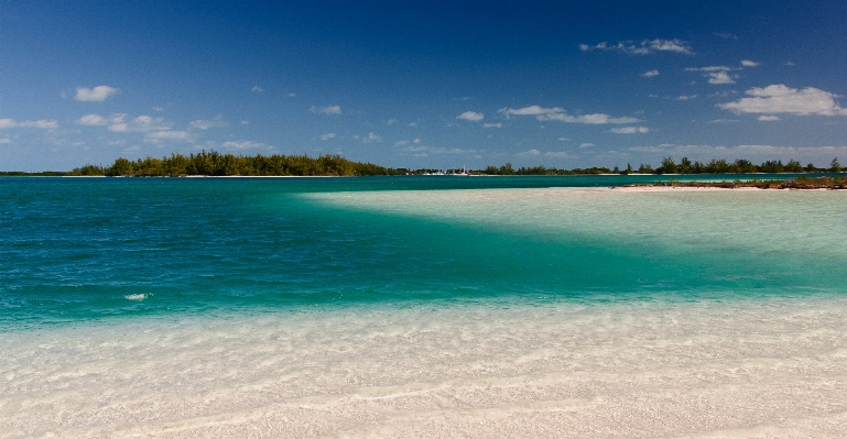 Beach sea coast sand Photo