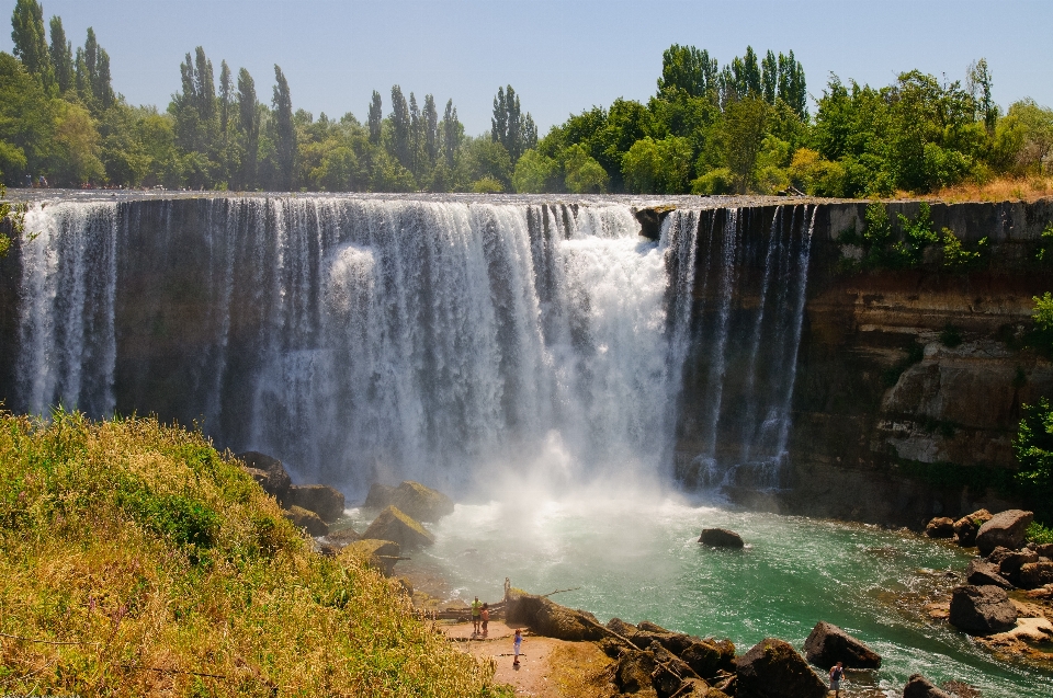 Paesaggio acqua natura foresta