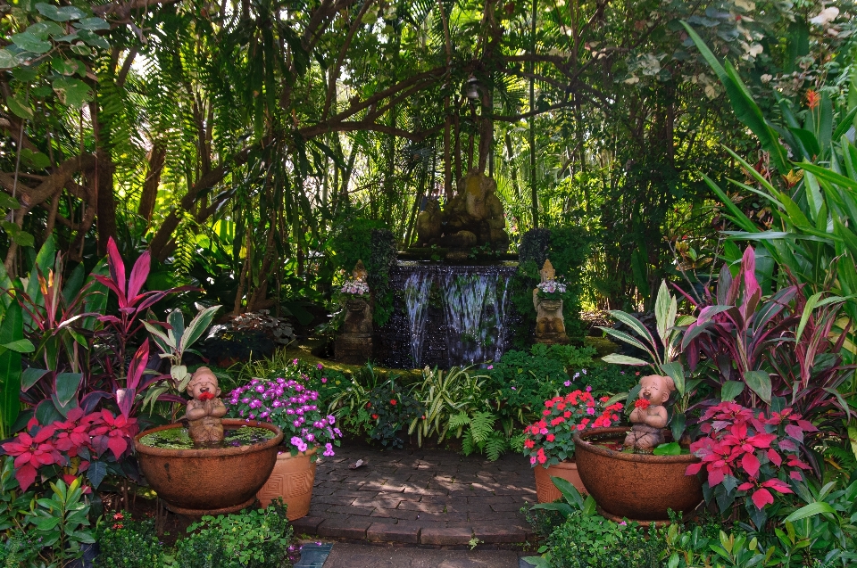 Fiore giungla giardino dietro la casa
 botanica
