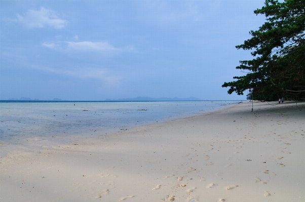 Foto Praia mar costa água