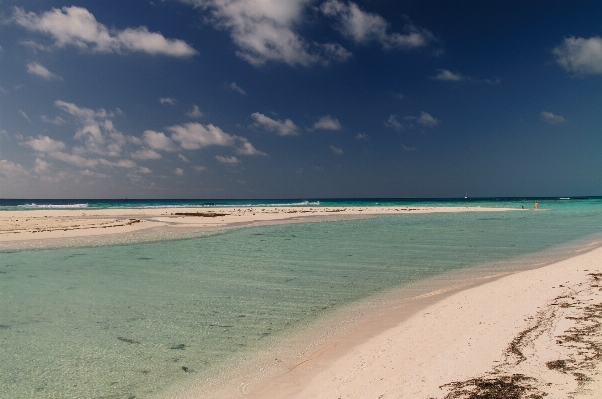 Beach sea coast sand Photo