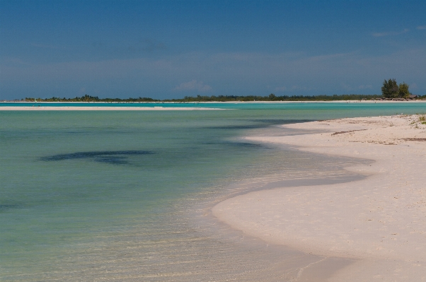 Beach sea coast sand Photo