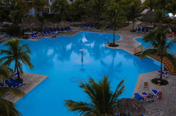 Vacation swimming pool lagoon leisure Photo