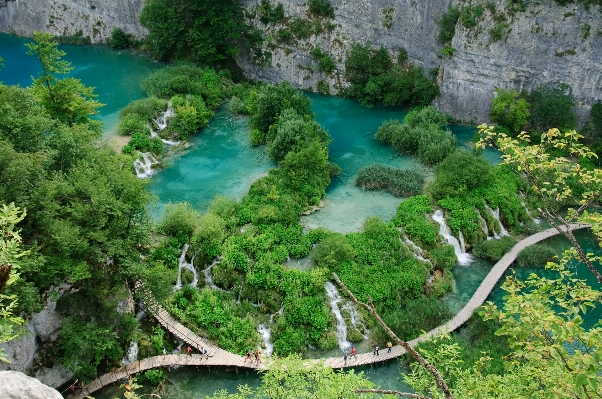 Forest waterfall lake river Photo