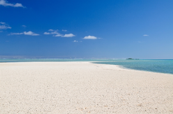 Beach sea coast sand Photo