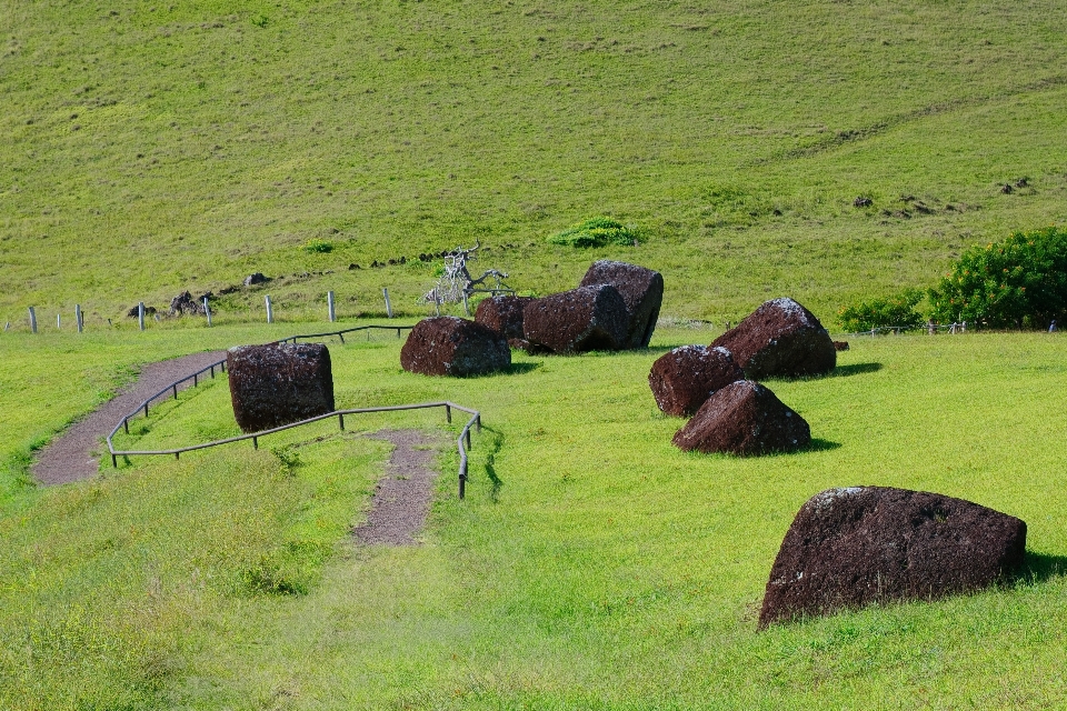 Paysage arbre herbe rock