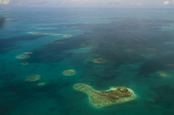 Sea ocean underwater biology Photo