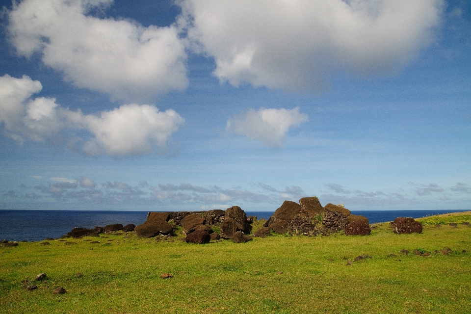 Landscape sea coast grass