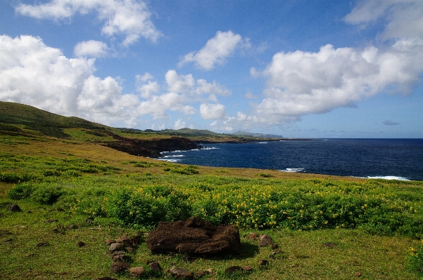 Landscape sea coast nature Photo