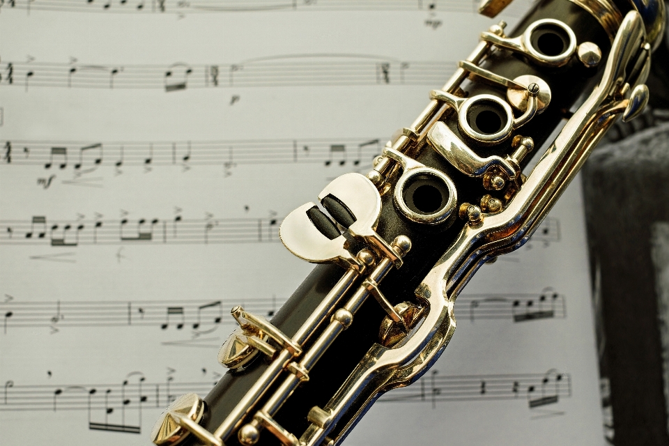 Music musical instrument saxophone woodwind