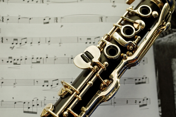 Music musical instrument saxophone woodwind Photo