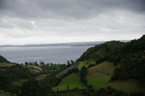 Landscape sea coast nature Photo