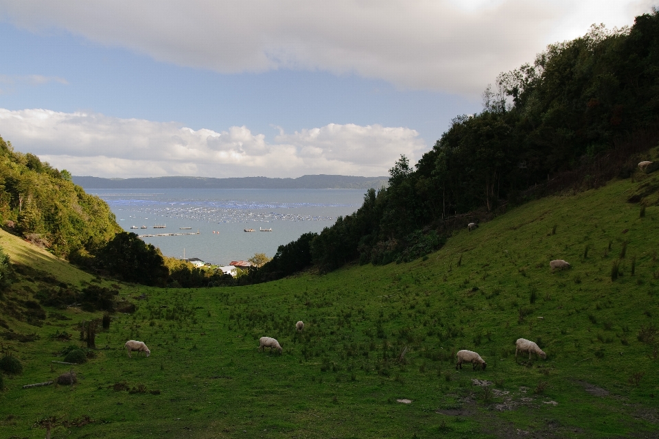 Paysage mer côte nature