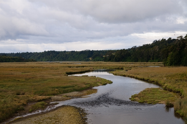 Landscape coast water nature Photo