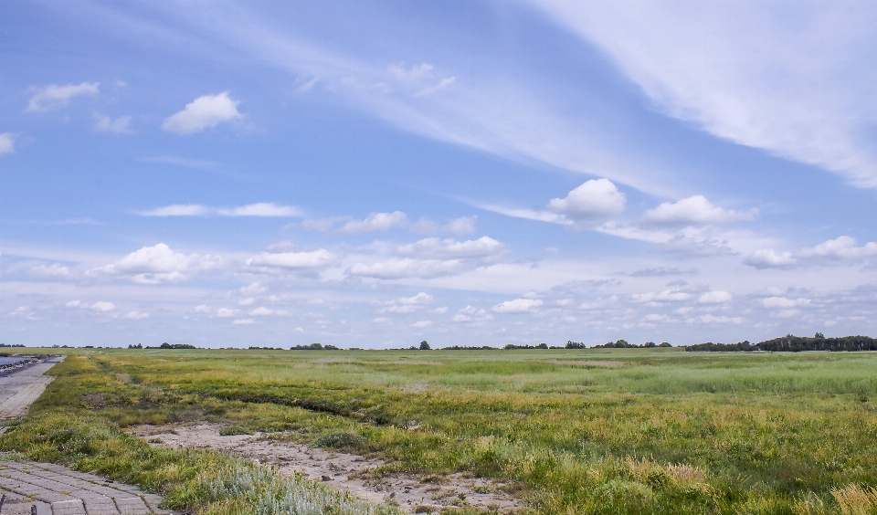 Landschaft küste natur gras