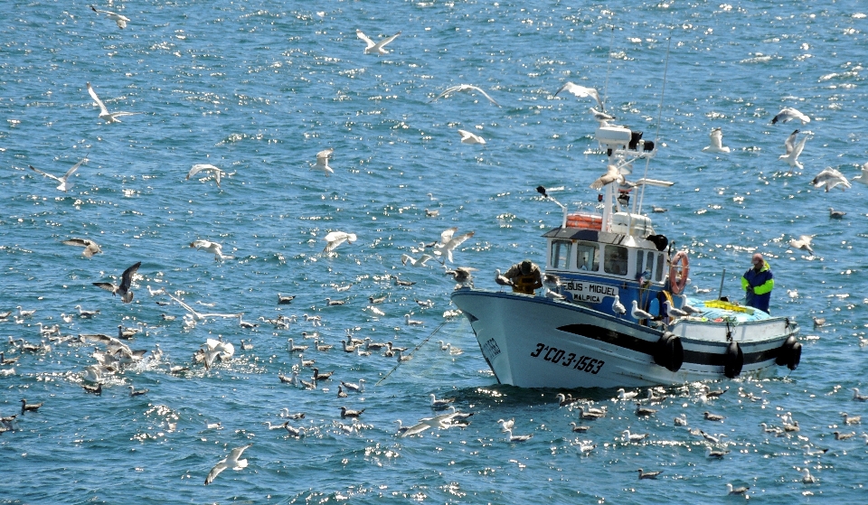 Mar costa océano bote