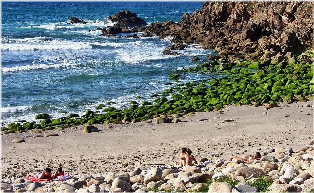 Beach sea coast rock Photo