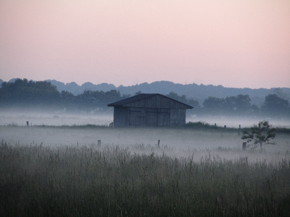 Paysage nature horizon le marais
