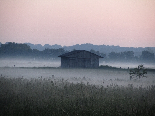 Landscape nature horizon marsh Photo