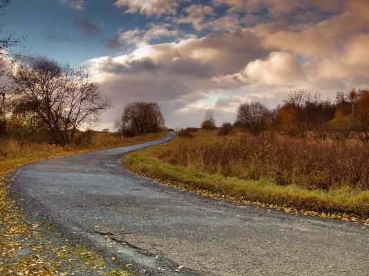 Foto Paisagem árvore natureza caminho