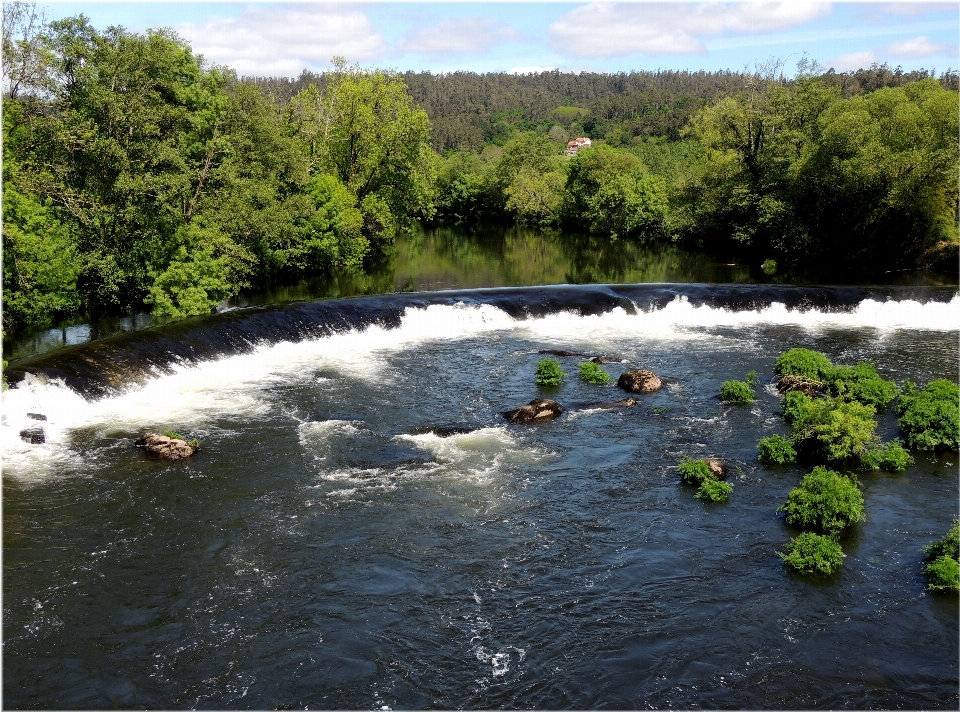 Agua naturaleza río estanque