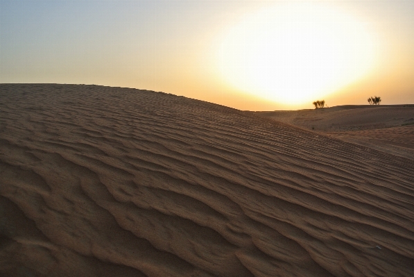 Landscape water nature sand Photo