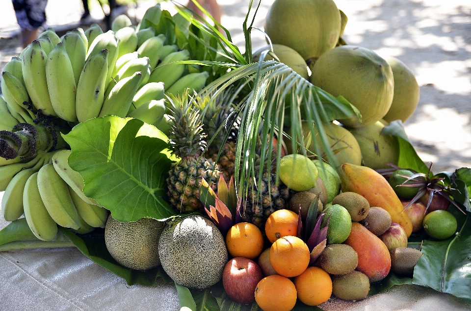 Apple spiaggia pianta frutta