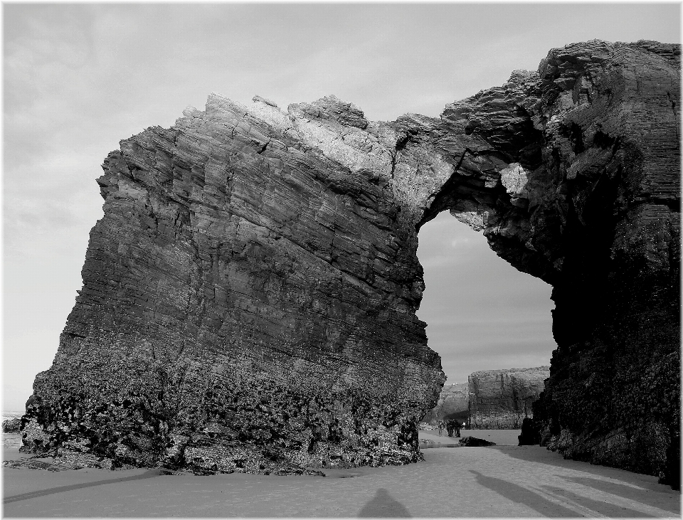 Küste natur rock schwarz und weiß
