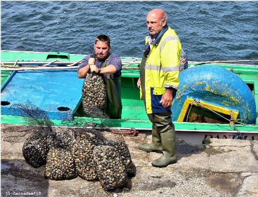 Sea europe vehicle fishing Photo