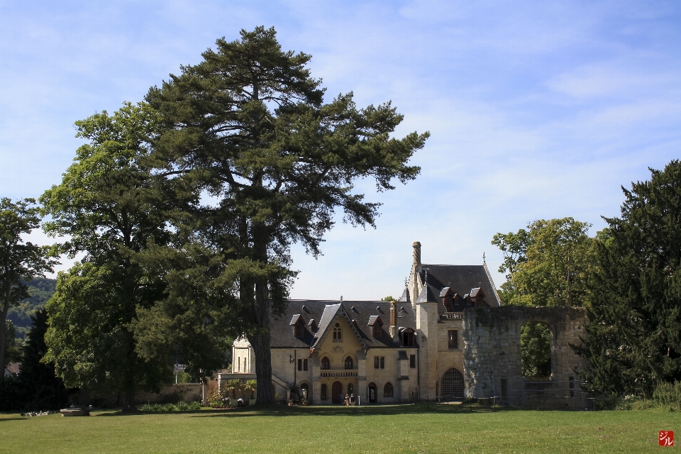 árbol granja césped casa