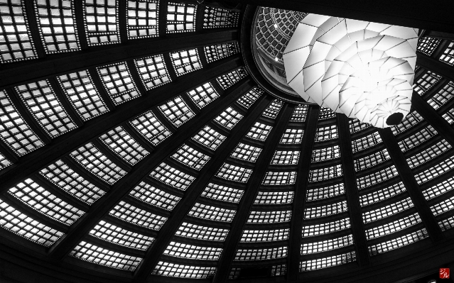 Black and white architecture paris france Photo