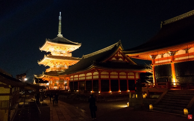 Night palace evening tower Photo