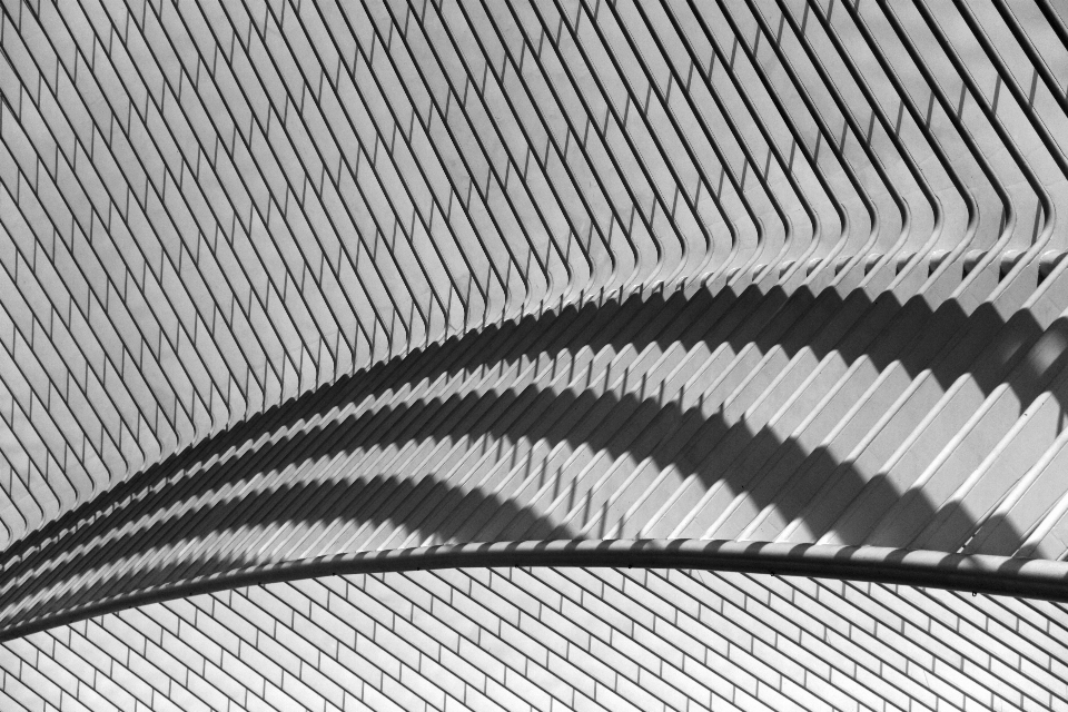 Aile noir et blanc
 architecture spirale