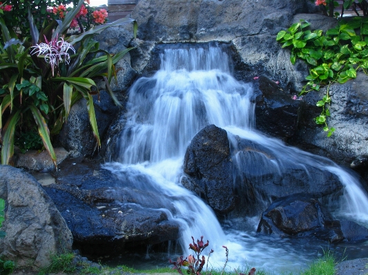 Landscape water nature rock Photo